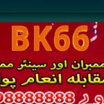 bk66 App