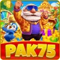 pak 75 game