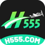 h555